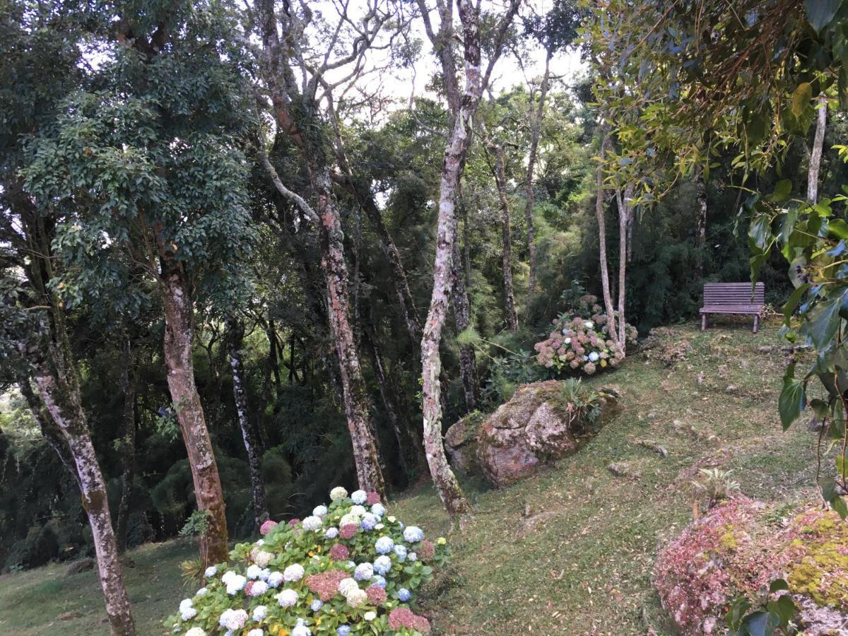 賓館 Villaserrana 3*